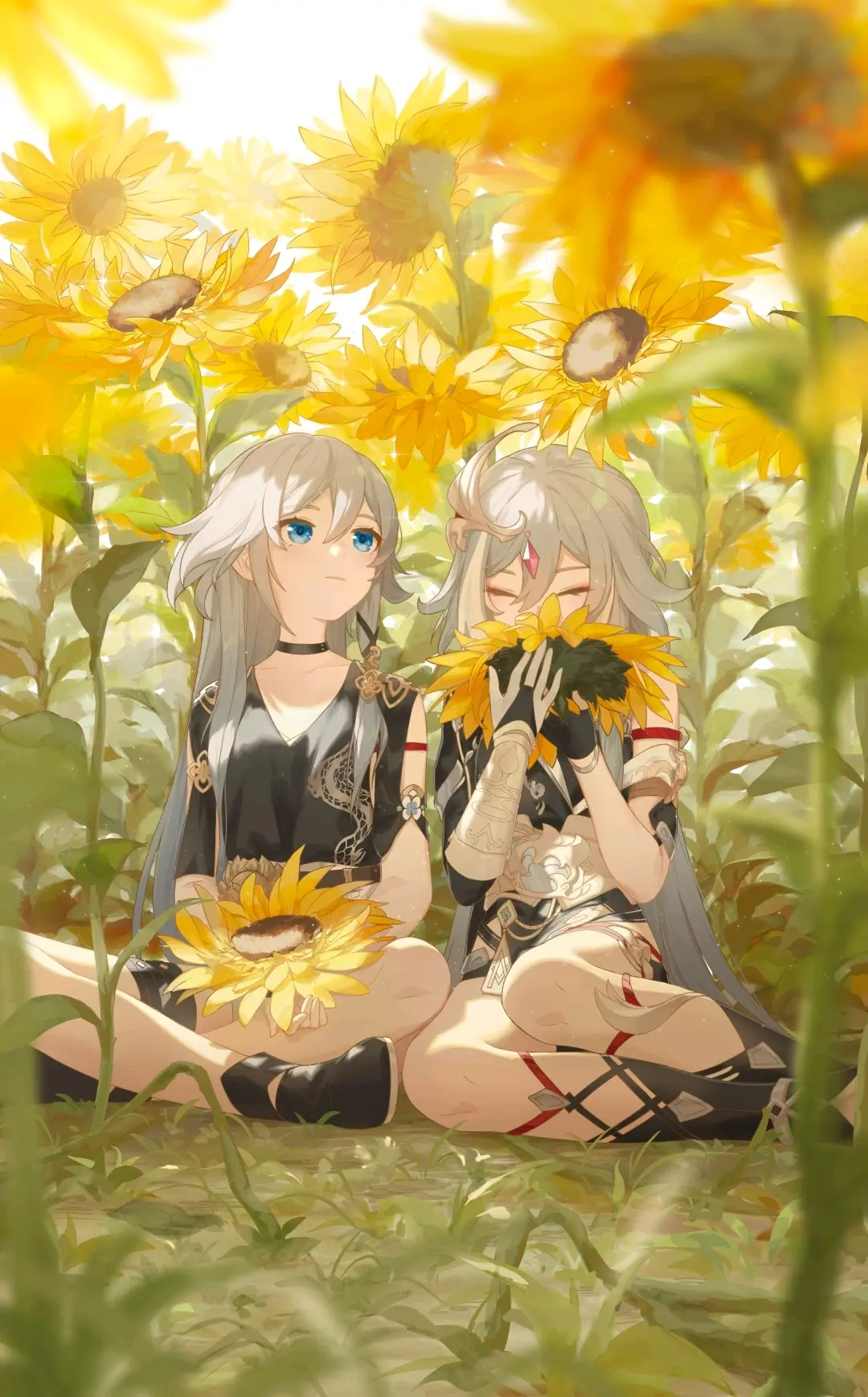 家庭崩坏手机版家族崩坏手机版汉化破解版
