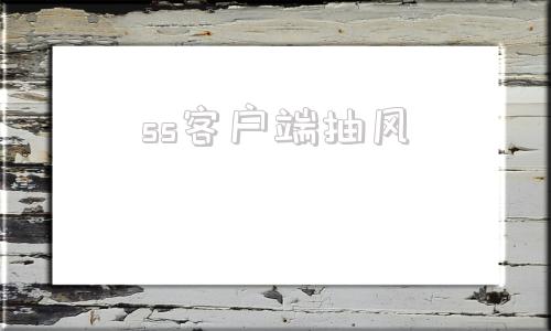 ss客户端抽风第九区ss客户端