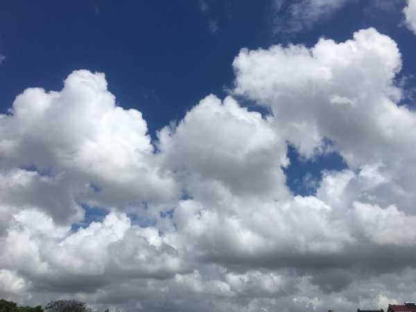 思归苹果版下载思聊app一对一聊天